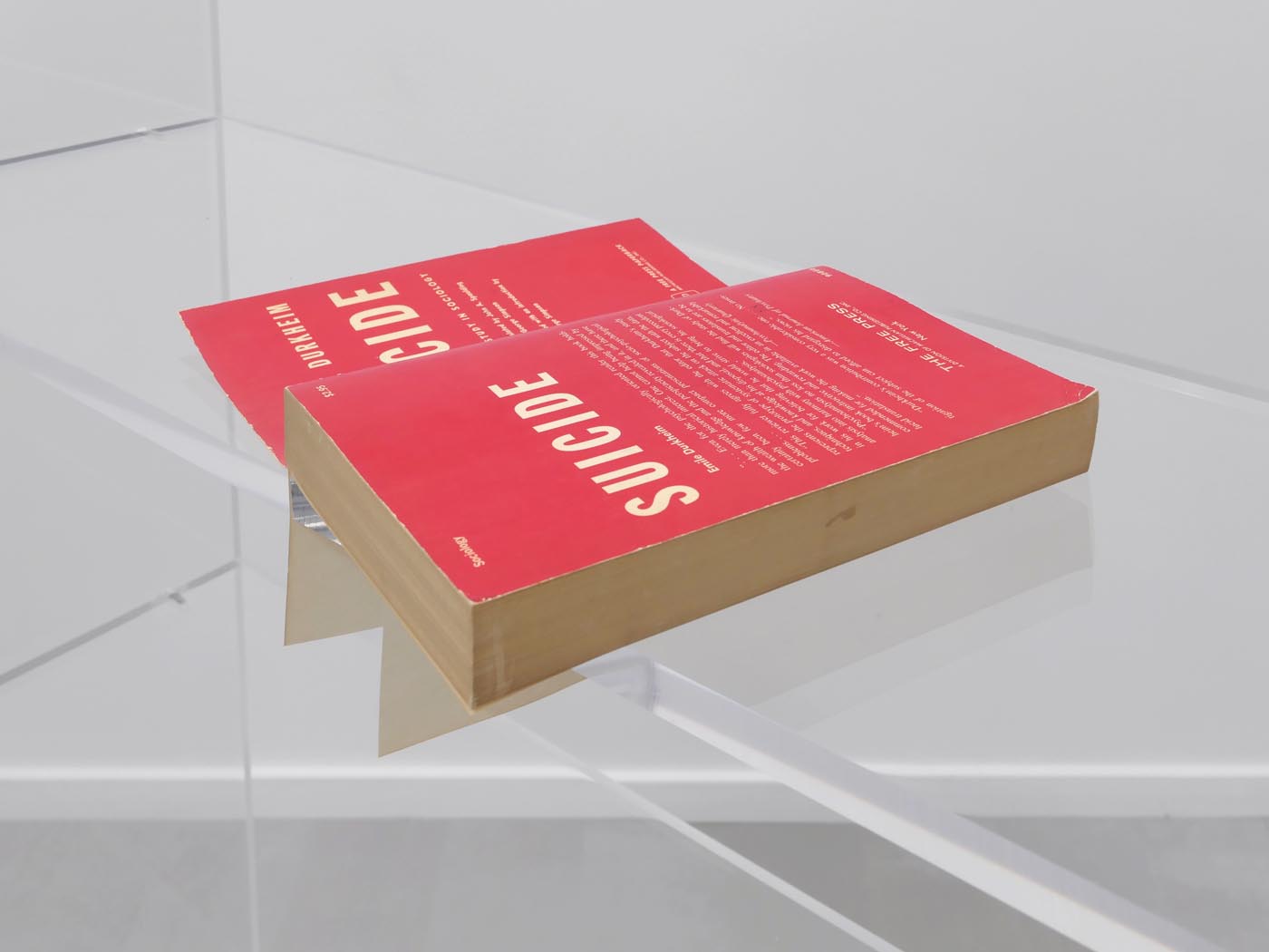 <p><em>Untitled</em>, 2020, 6 x 3,4 x 0,01 cm, found book, acrylic glass, stainless steel</p>